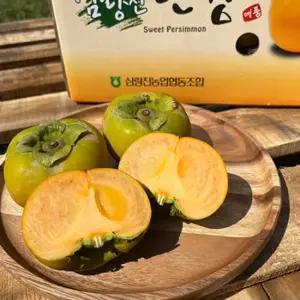 더노랑 딱딱이 진영 창원 경남 아삭 단감 중소과 2.5kg (13-17과)