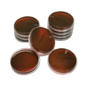 대장균 배양배지 10개세트 과학 실험 교구 과탐 집콕놀이 학원 교육 창작