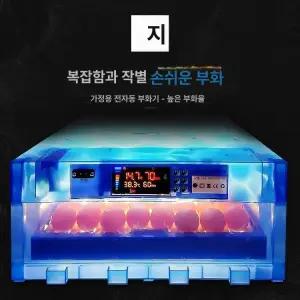 오리알 부화기 파충류 거위 기러기 자동 가정용 계란