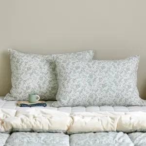 [모던하우스] 퓨어코튼 60수 고밀도면 베개커버 50x70 페탈가든