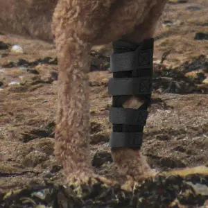 [골드스마일]강아지 슬개골 보호대 통깁스 보호용 M 탈골 안전대