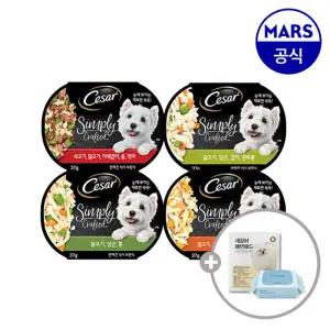 시저 심플리 크래프티드 15개골라담기+배변패드+베베숲물티슈1팩