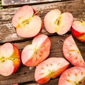 경북농장 신품종 엔부사과 애플피치 2kg 3kg 새콤달콤 프리미엄 피치애플 15brix 당도보장