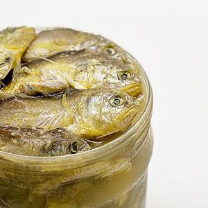 [강경장수젓갈] 황석어젓 3kg, 5kg