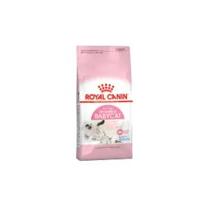 로얄캐닌 마더앤베이비 캣 2kg
