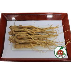 청정 영주소백산도라지 흙_약도라지1kg중품