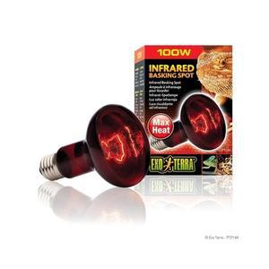엑소테라 적외선스팟램프 100W