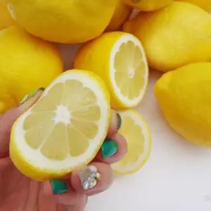 황금열매 상큼한 직수입 즙 주스 레몬 10kg