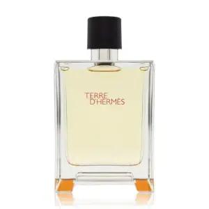 에르메스 떼르 데르메스 EDT 100ml