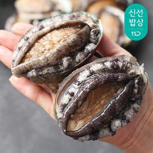 완도 전복 1kg 9-10미 + 세척솔증정 /산소팩포장