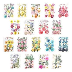 [문구티쳐] 토단(TD) 압화꽃 시리즈 - 대 1인세트 18종 택1 DIY 압화모음 만들기재료 공예재료