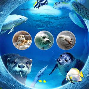 [대전] 아쿠아리움 연간회원권/아쿠아플라넷/대전아쿠아리움/가볼만한곳/데이트/아이랑/수족관