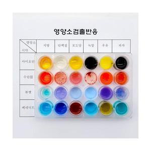 영양소 검출반응 세트 (2인용) (지방 단백질 포도당 녹말 우유 과자)