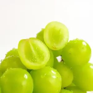 [전청프레시] 품질보장 고당도 가정용 수출용 프리미엄 샤인머스켓