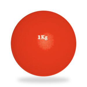 DWR 포환 연습용 실내용 1kg 훈련용 투포환