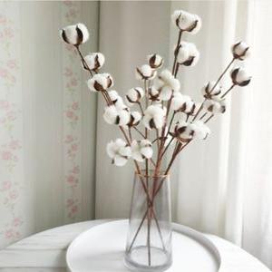 제이킨 10송이 목화꽃 가지 조화 인테리어 소품 목화솜꽃 목화