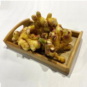 상발마을 생강 굵고 싱싱한 황토 햇생강 3kg