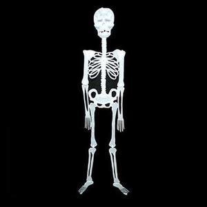 할로윈 야광 해골 모형 장식품 파티 소품 꾸미기