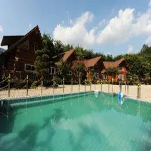 [경남 펜션] 밀양 통나무숲속마을펜션 (양산,밀양)