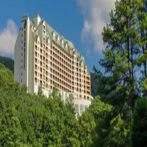 [경기] 양지파인리조트(경기, 용인)