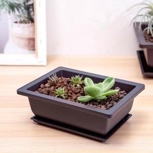 다육이 사각화분 소형 미니 다크닉 세트 플라스틱 받침대 긴 여주 도자기 직