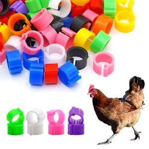 닭 병아리 인식표 발목링 발찌 밴드 가금류 조류 품종 성별 식별 번호표 10P