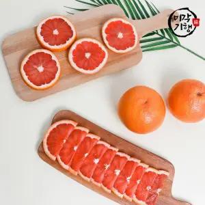 미각기행 레드자몽 소과 24입(개당 240g내외)