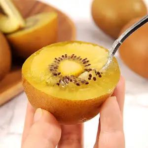 전남 보성 골드키위 2kg 소 31-32과