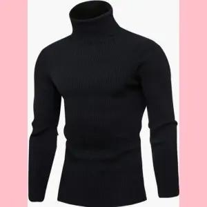긴팔티셔츠 골지 하이넥 남성 소프트웜 겨울 레이어드티 폴라티셔츠 목 터틀넥