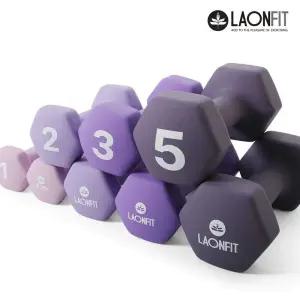 라온핏 아령 1kg,2kg 1set 육각 덤벨 홈트레이닝 헬스 근력운동