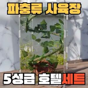 크레용샵 도마뱀 크레스티드 게코 사육장 한방 세트