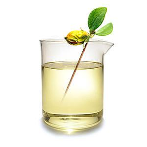 마타바 호호바 오일(정제) 500ml