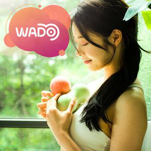 [와두]국내생산 프리미엄 마사지볼 싱글볼 or 피넛볼