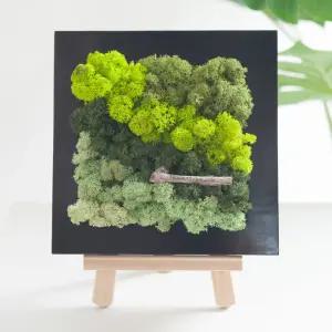 스칸디아모스 공기정화식물 액자 블랙 set 20cm 4컬러 인테리어 천연 이끼 벽장식 소품 플랜테리어