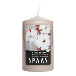 스파스캔들 에센셜센트 실린더 향초 610