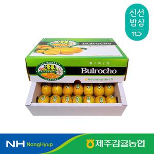 [제주감귤농협] 불로초 하우스감귤 1.5kg 3kg(2S-M) / 12.5brix 이상 농협정품