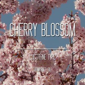 체리 블라썸 50ml,100ml 국내H 타입 향기 FO 프래그런스,그란스,프로그랜스 오일