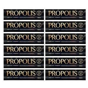 페리오 프로폴리스 치약 160g x 12개