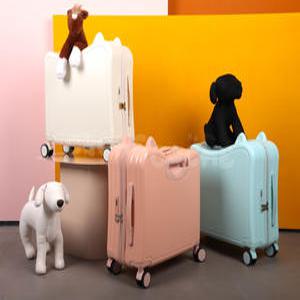 탈수있는 유아캐리어 타는캐리어 가방 (20인치) 기내용 어린이집크리스마스선물 유치원크리스마스선물