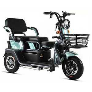 전기 삼륜차 시골 농촌 어르신전동차 드라이브 나들이