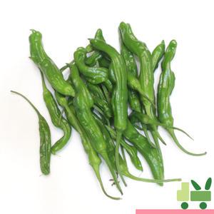 꽈리고추 4Kg (상)