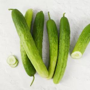 갤러리아 [농협청과33번] 수분가득 신선한 백다다기오이 10kg (상)