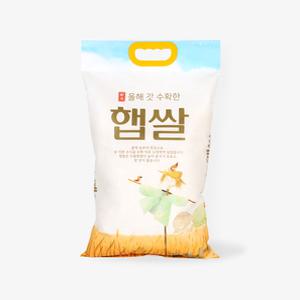 글로리푸드 THE건강한 쌀 백미 5kg