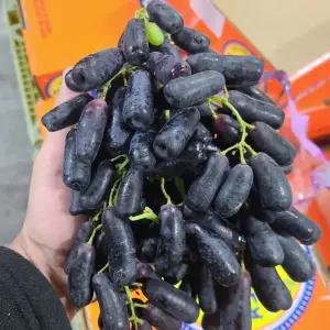 블랙사파이어 씨없는 가지포도 1kg