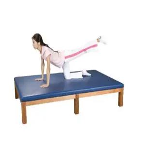 운동물리치료 치료용 매트테이블 GO-700 / 네오텍