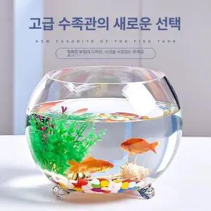 원형유리어항 둥근 물고기 어항