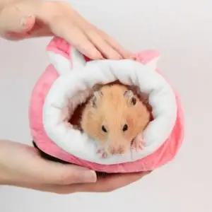 골든 햄스터 집 포그니 은신처 겨울 집꾸미기 4가지