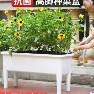 베란다 플라스틱 텃밭 직사각 화분 높은 옥상 상자 플랜트