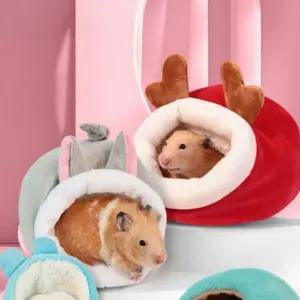 골든 햄스터 집 포그니 은신처 겨울 집꾸미기 4가지
