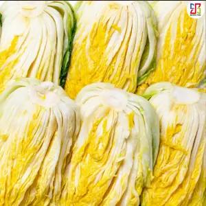 황금빛 해풍배추 고소한 해남 HACCP인증 절임배추 20kg (8~14쪽)